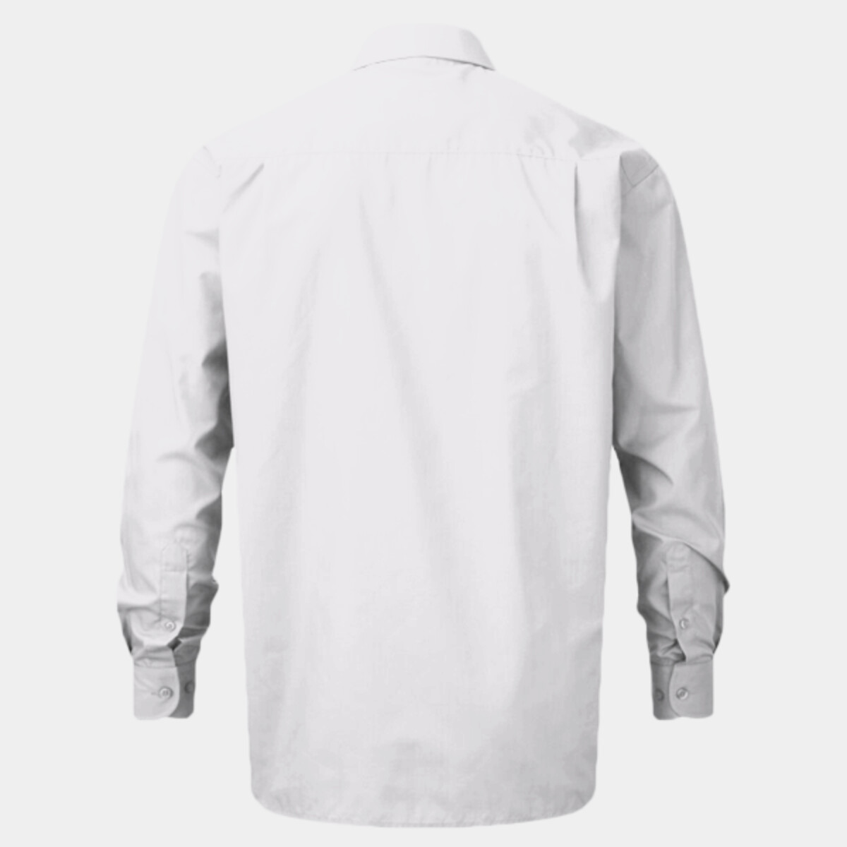 Back